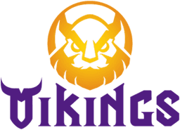 MGN Vikings Academy logo