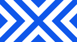 New York Excelsior logo