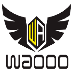 Team Waooo logo